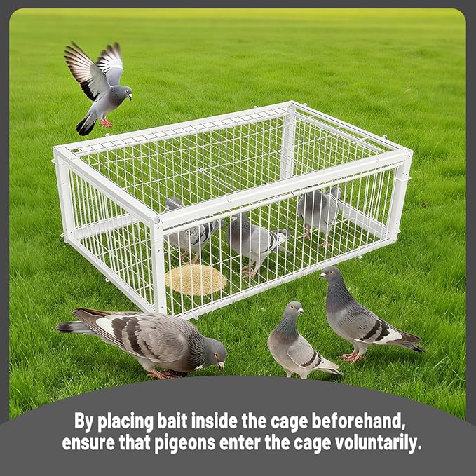 Escape-Proof Design Pigeon Coop Four Channel One Way Entrance Pigeon Trap,Pigeon Cage, Portable Easy to Assemble Outdoor Bird Cage,Can Be Used for Rooftops, Open Gardens,Barns Farms