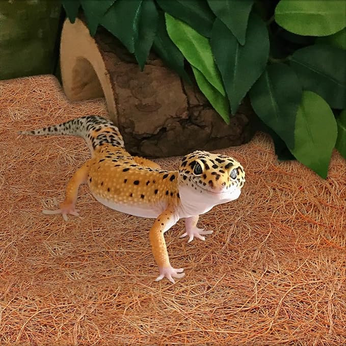 ZeeDix 3 Rolls Reptile Mat, 18 x 36 inches Natural Coconut Fiber Liner Mat Flooring Accessories for Reptile Tank - Bearded Dragon Tortoise Lizard Turtle Snake Leopard Gecko Substrate Bedding