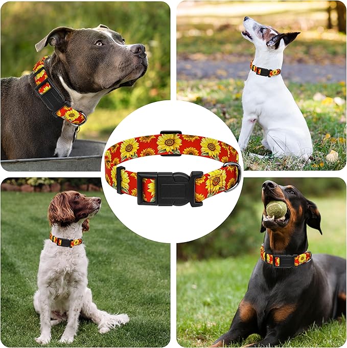 Dog Collar, Floral Boys Girls Puppy Collar for Small Medium Large Dogs, Adjustable Soft Pet Collar with Safety Buckle for Male Females (Red Sunflower, M)