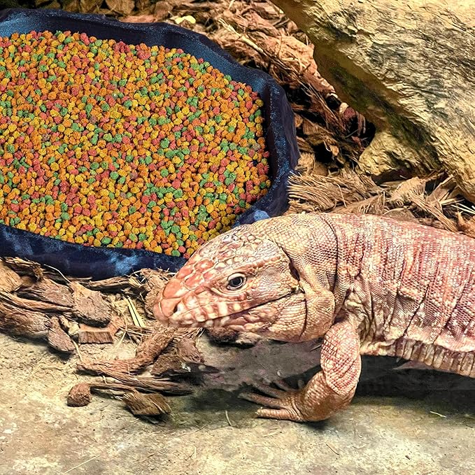 Gecko Cave Reptile Feeding Tray – Naturalistic Pet Dish for Lizards, Snakes, Bearded Dragons, Tortoises & Turtles - Burnt Titanium