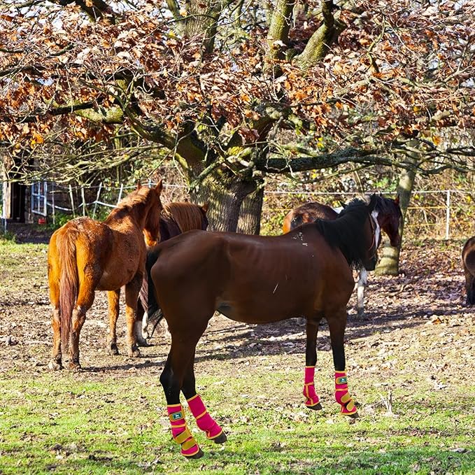 Fly Boots for Horses Set of 4 – Breathable Mesh Leg Protection for Summer with Ventilated Design & All-Day Comfort (Pink,Large