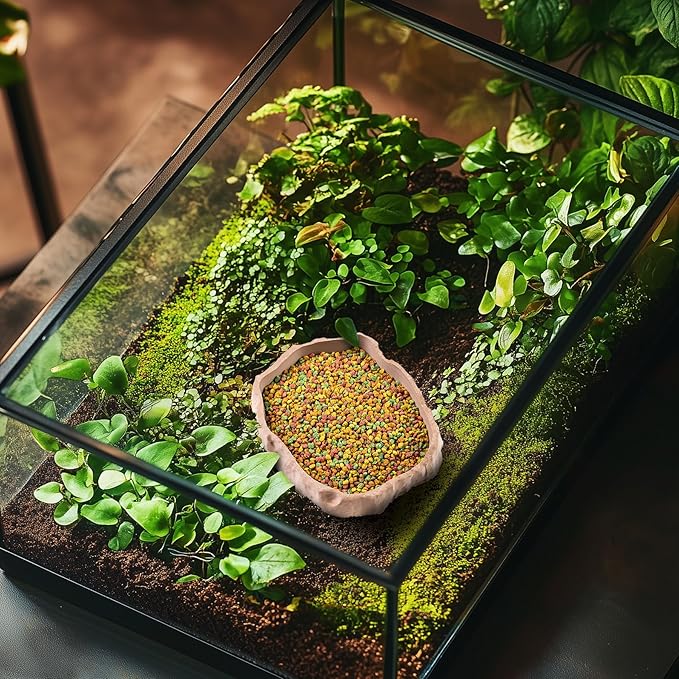 Gecko Cave Reptile Feeding Tray – Naturalistic Pet Dish for Lizards, Snakes, Bearded Dragons, Tortoises & Turtles - Sandstone