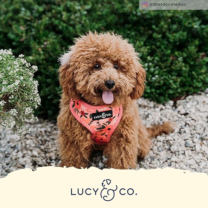 Lucy & Co. Reversible Dog Harness Walking Halter - Best Designer Pet Harnesses for Extra Small Medium Large XL Dogs Plus Pug Breeds - Padded Adjustable Puppy Vest (X-Small, Posy Pink)