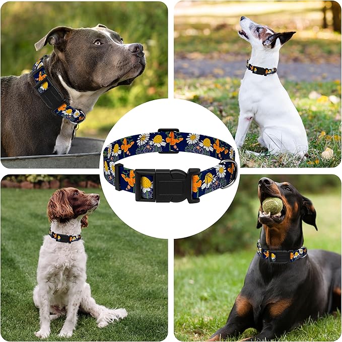 Dog Collar with Butterflies Print, Daisy Boys Girls Puppy Collar for Small Medium Large Dogs, Adjustable Soft Floral Pet Collar with Safety Buckle for Male Females(Blue Butterfly,M)