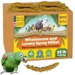 Birds LOVE Wholesome & Lovely Spray Millet Non-GMO (No Stems Only Edible Tops) for Parrots Birds Cockatiel Lovebird Parakeets Finch Canary All Parrots Healthy Treat - 5lbs