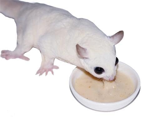 Sugar Glider Complete Deluxe Food Starter Package - Nutritionally Complete Pellet Diet & High Protein Supplemental Food for Sugar Gliders… (3 Piece Set)