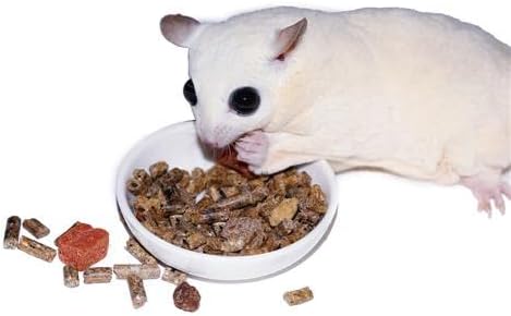 Sugar Glider Complete Deluxe Food Starter Package - Nutritionally Complete Pellet Diet & High Protein Supplemental Food for Sugar Gliders… (3 Piece Set)