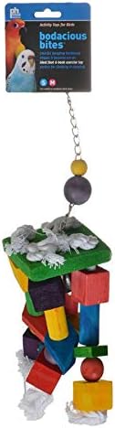 Prevue Pet Products 60955 Bodacious Bites Crazy Legs Bird Toy, Multicolor