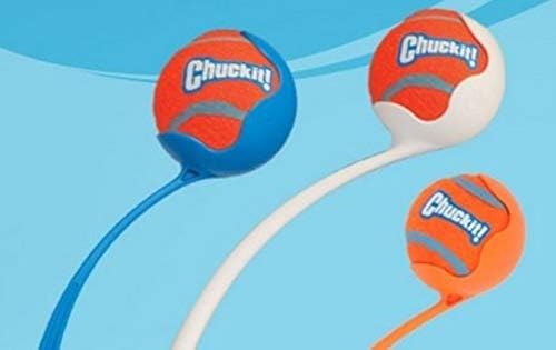 Chuckit! Dog Tennis Ball Dog Toy, Large (3 Inch Diameter) for dogs 60-100 lbs, Pack of 2