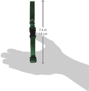 LupinePet Basics 1/2" Green 10-16" Adjustable Collar for Small Dogs