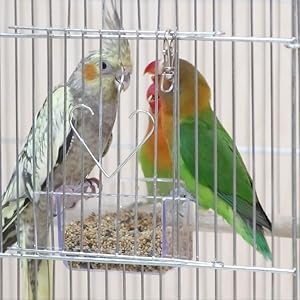 Pssopp 12Pcs Pet Birds Cage Metal Hook Clip Iron Anti-Escape Pet Bird Cage Door Buckle Lock Claw Snap Hook