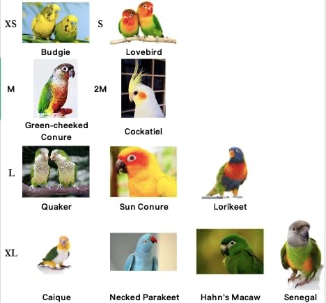 Bird Flight Harness Vest, Parrot Suit with Leash for Cockatiels Conures Budgies, Flying Clothes Rope and Handle Outdoor Activities Training
