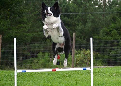 Dog Agility Equipment Deluxe Beginner Set, 3 Bar Jumps, 6 Weave Poles,1 Octagon Hoop Jump Agility Course for Dogs