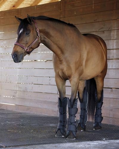 Dover Saddlery - Shipping Boot Set, Color: Black, Size: Horse