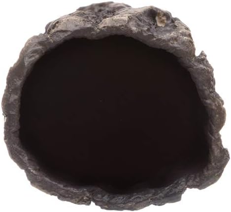 Plecoceramics Large Pleco Cave Breeding Ceramic Decorations Fish Tank Aquarium (1 pcs Large Natural)