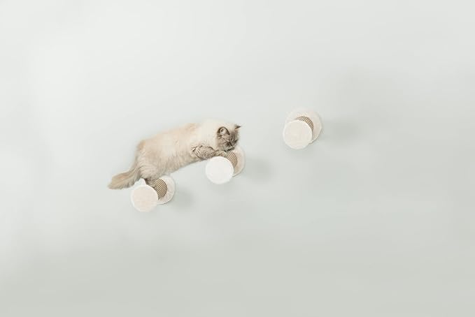 Trixie Wall Mount XXL Cat Climbing Steps, Cat Furniture, Scratching Post, 3pcs, Brown
