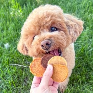 Farm To Pet - Puppy Packs 'N Snacks Dog Treat Starter Pack - Beef 4oz + 1 Chicken & 1 Turkey & 1 Fish Snack Pack - Single Ingredient Training Treats, All Natural, Lean for Small, Medium, Large Breeds