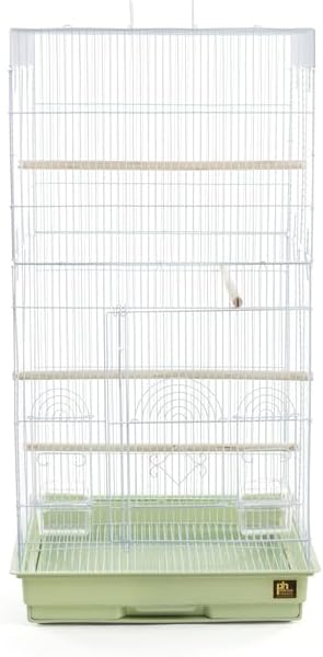 Neo-Classical Nostalgia Tall Cage with Elegant Design, Spacious Interior, Durable Construction, and Vertical Layout Sage Green