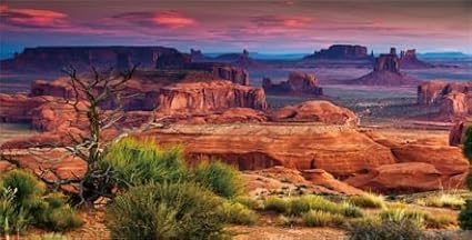 36X20IN Desert Loess Rock Cactus Oasis Reptile Habitat Background, Natural Sunset Desert Themed Terrarium Background, Aquarium Background with 10 EVA Double-Sided Tape