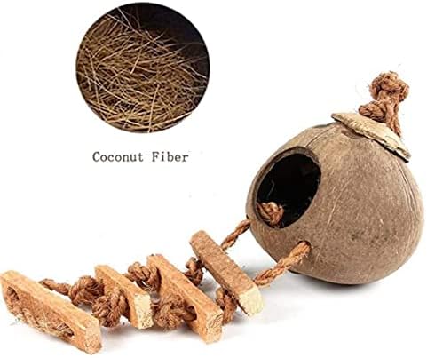 Tfwadmx Coconut Hide with Ladder, Natural Fiber Hanging Birdhouse Cage, Bird Shell Breeding Nest for Parrot, Parakeet, Lovebird, Finch, Canary (2 Pcs)