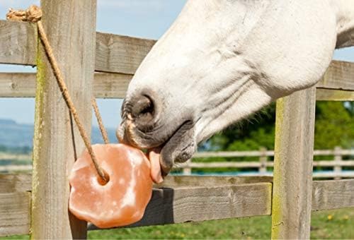 UMAID Himalayan Salt Lick 3 lbs On Rope for Horse, Deer, Goat, and Livestock Animals - Himalayan Salt Block 6 Pack