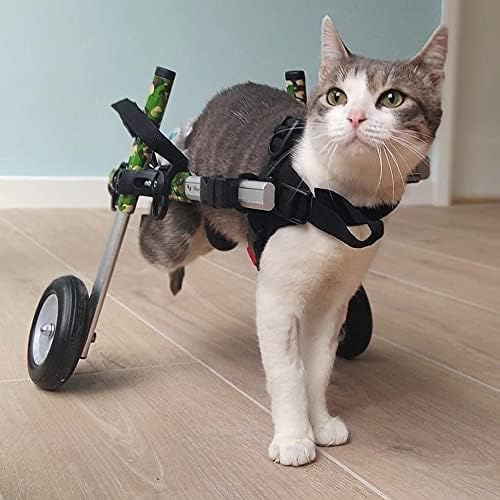 Walkin' Wheels Lightweight – for Small Cats 2 to 20 Pounds – Veterinarian Approved – Cat Wheelchair for Back Legs, for Cats 11-20 lbs, 9-13 inches Leg Height – Blue