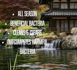 Koi Pharma® Pure Year-Round Bacteria Pro – All-Season Beneficial Pond Bacteria for Clear Water, Sludge Control & Healthy Koi and Goldfish (2 Pound)
