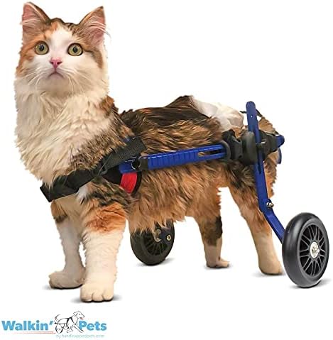 Walkin' Wheels Lightweight – for Small Cats 2 to 20 Pounds – Veterinarian Approved – Cat Wheelchair for Back Legs, for Cats 2-10 lbs, 2-5 inches Leg Height – Blue
