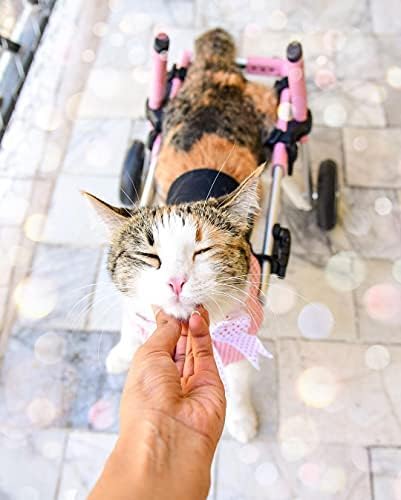 Walkin' Wheels Lightweight – for Small Cats 2 to 20 Pounds – Veterinarian Approved – Cat Wheelchair for Back Legs, for Cats 2-10 lbs, 9-12 inches Leg Height – Blue