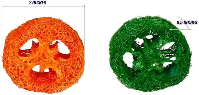 2PCS Fruit Flavor Loofah Chew Toys Guinea Pig Chew Toys for Teeth Rabbit Toys Guinea Pig Toys (Orange)
