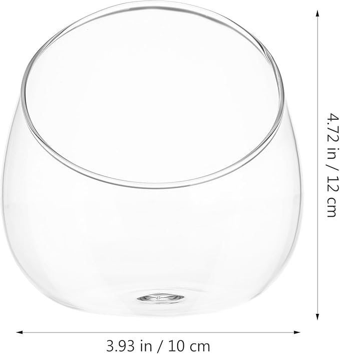 BESPORTBLE Slant Cut Glass Terrarium Bowl - Clear Glass Vase for Succulents, Air Plants, Cactus, Hydroponic Plants, Decorative Centerpiece, 4.72 X 4.72 X 3.93 Inch
