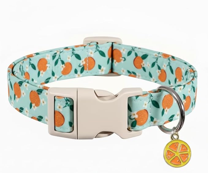 Dog Collar, Spring Summer Dog Collar with Orange Print and Charm, Cute Spring Summer Fruit Collar with Soft & Breathable Fabric, Adjustable Pet Collar for Small Dogs