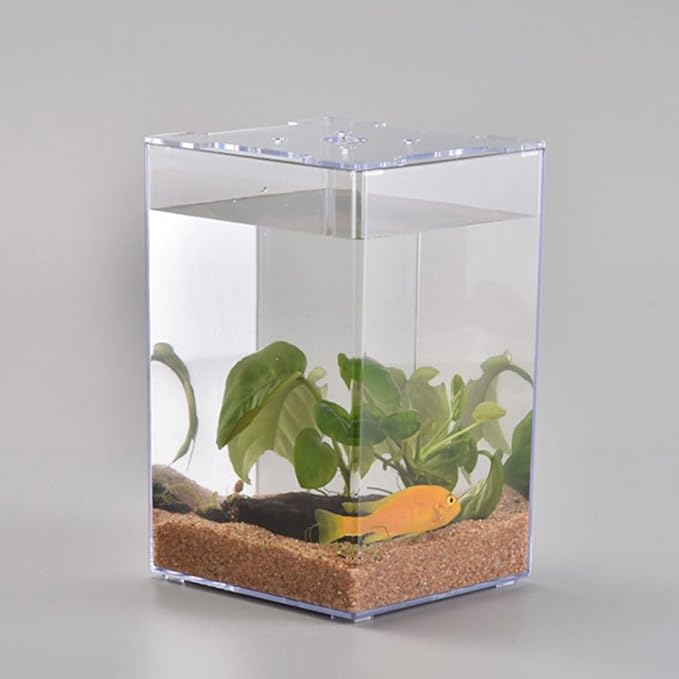 Acrylic Fish Breeding Box-1pc Acrylic Fish Isolation Box Tank Desktop Aquarium Betta Tank Small Aquarium Miniature Turtle Tank Mini Bowl Container