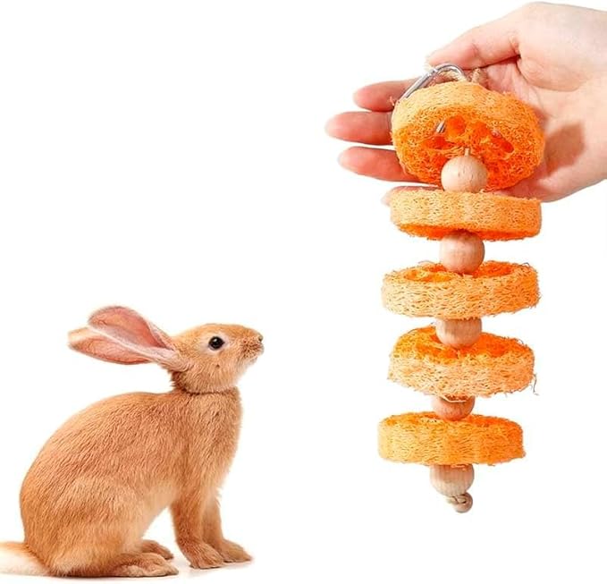 2PCS Fruit Flavor Loofah Chew Toys Guinea Pig Chew Toys for Teeth Rabbit Toys Guinea Pig Toys (Orange)