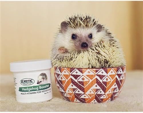 Exotic Nutrition Starter Package for Hedgehogs - Includes Exercise Wheel, Healthy Food, Natural Treat, Multi-Vitamin & Hideout