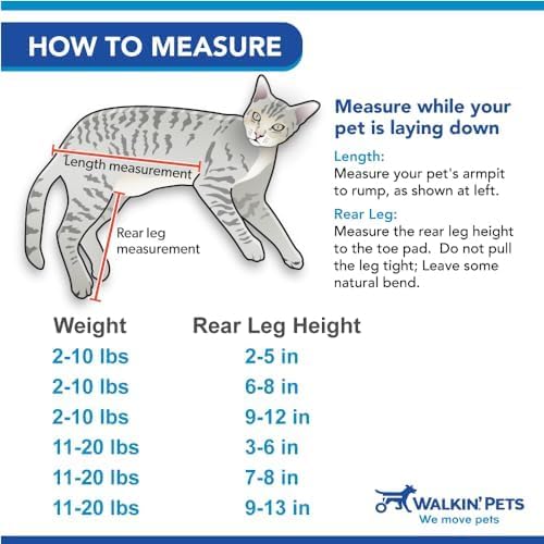 Walkin' Wheels Lightweight – for Small Cats 2 to 20 Pounds – Veterinarian Approved – Cat Wheelchair for Back Legs, for Cats 11-20 lbs, 9-13 inches Leg Height – Seafoam