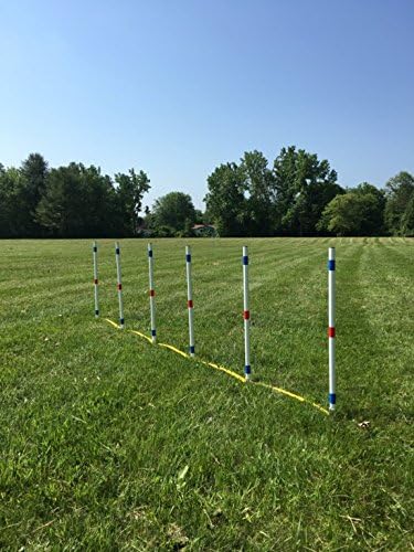 Dog Agility Equipment Deluxe Beginner Set, 3 Bar Jumps, 6 Weave Poles,1 Octagon Hoop Jump Agility Course for Dogs