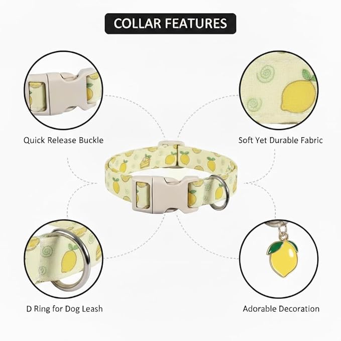 Dog Collar, Spring Summer Dog Collar with Yellow Lemon and Cute Charm, Pet Collar with Quick Release Buckle and Durable Fabric, Suitable for Small Dogs