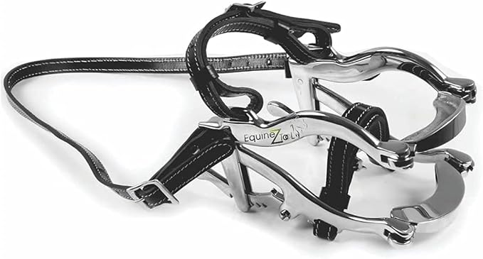 Equine Dental 4000 Speculum Horse Mouth Gag with Leather Straps and 4-Piece Professional Teeth Float Set – Stainless Steel Veterinary Dental Instruments Kit with Foamy Grip for Horses