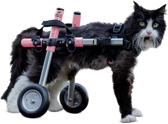 Walkin' Wheels Lightweight – for Small Cats 2 to 20 Pounds – Veterinarian Approved – Cat Wheelchair for Back Legs, for Cats 11-20 lbs, 3-6 inches Leg Height – Pink