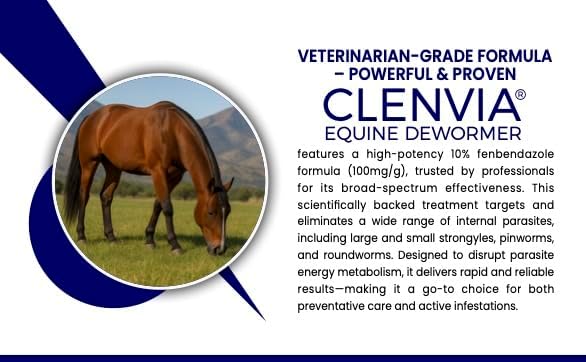 Horse Paste 10% – 4 Pack – 25g Syringes – Oral Deworming Paste for Horses of All Ages – Easy-to-Administer Equine Care