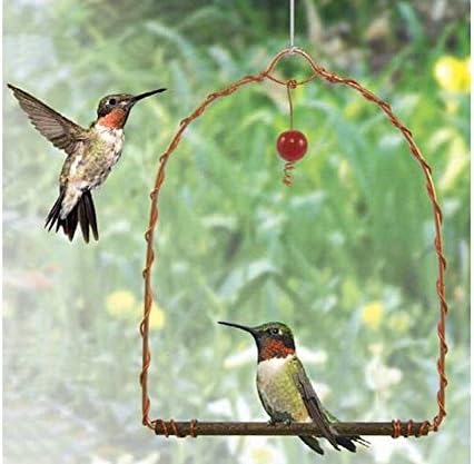 Songbird Essentials Sehhhums Copper Hummingbird Swing, Set of 1