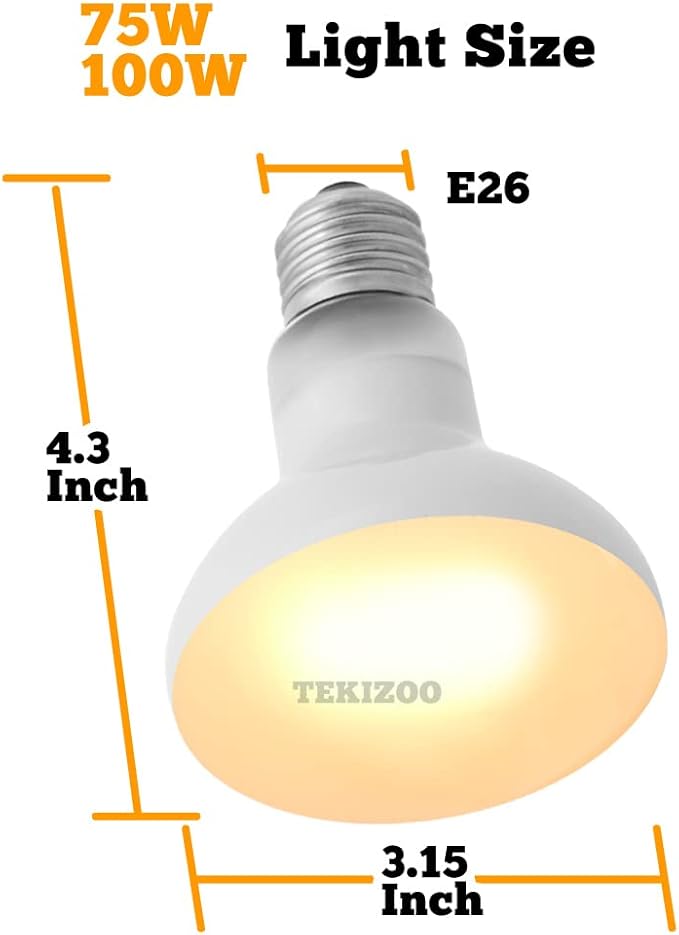 Heat Lamp Bulbs Reptile Basking Light Spot Daylight for Bearded Dragon,Lizard,Tortoise,Amphibian 75W(2 Pack)