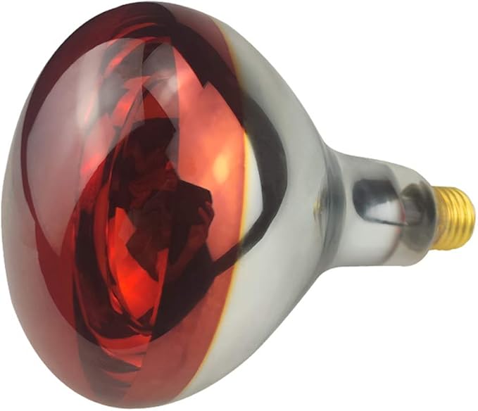 Heat Lamp Bulb R40 250 Watt 2 Pack Painted Red Infrared Glass Lamp Bulb for Food Service, Brooder Bulb, Chicks, Pet, Bathroom.