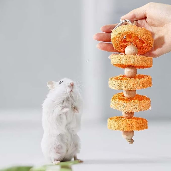 2PCS Fruit Flavor Loofah Chew Toys Guinea Pig Chew Toys for Teeth Rabbit Toys Guinea Pig Toys (Orange)