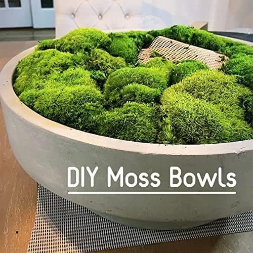 Preserved Pole Moss Pillow Bun Cushion Natural Green Decorative Real Natural Green DIY Kit Terrariums Gardenning Art Wall Decor Florist Decor Easter Table Wedding(1.5 sq.ft, Green-B)