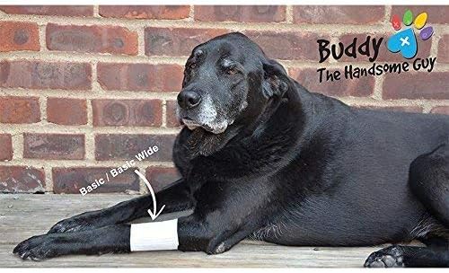 Basic Leg Bandages for Dogs, Cats, Pets -First- aid Non Adhesive Fur Friendly, Soft Stretch Wound Care, hot Spots, Fungus, Adjustable Fastening Strap Value Pack (Medium 20-Pack)