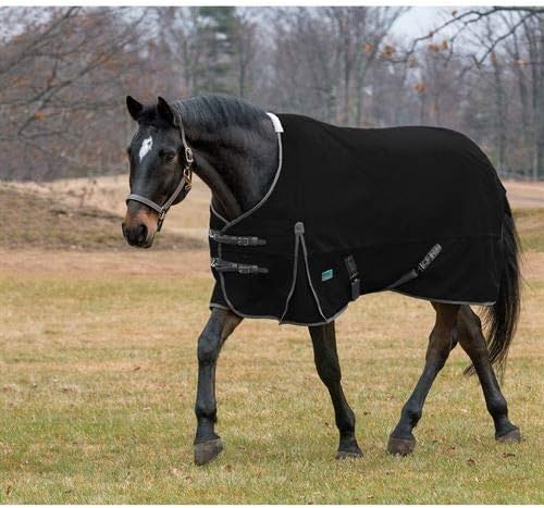 Dover Saddlery Rider’s International Supreme Medium Weight Turnout Blanket