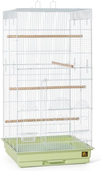 Neo-Classical Nostalgia Tall Cage with Elegant Design, Spacious Interior, Durable Construction, and Vertical Layout Sage Green