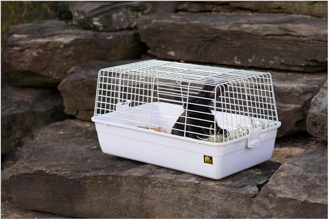Elegant Escape Small Round Bird Cage with Graceful Design, Durable Metal Construction, Compact Size, and Comfortable Space White